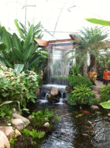 pond