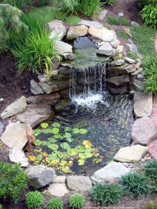new eco pump for ponds