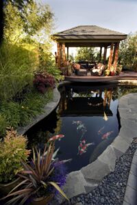 koi pond