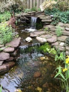 oxygen in koi ponds